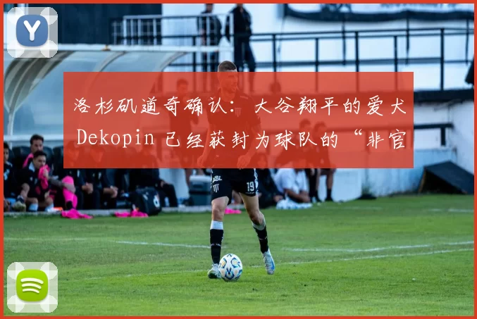 洛杉矶道奇确认：大谷翔平的爱犬 Dekopin 已经获封为球队的“非官方吉祥物”